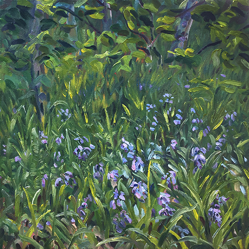 Bluebells_on_a_bank_2018